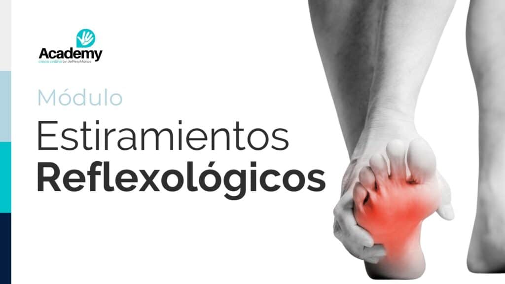 Módulo Estiramientos reflexológicos