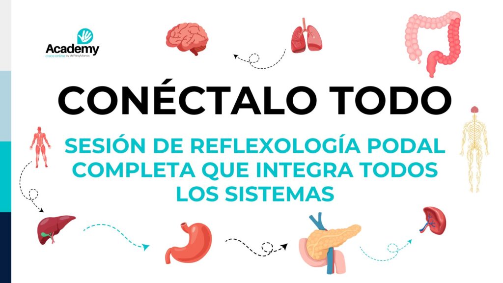 Sesión completa de reflexología, conéctalo todo